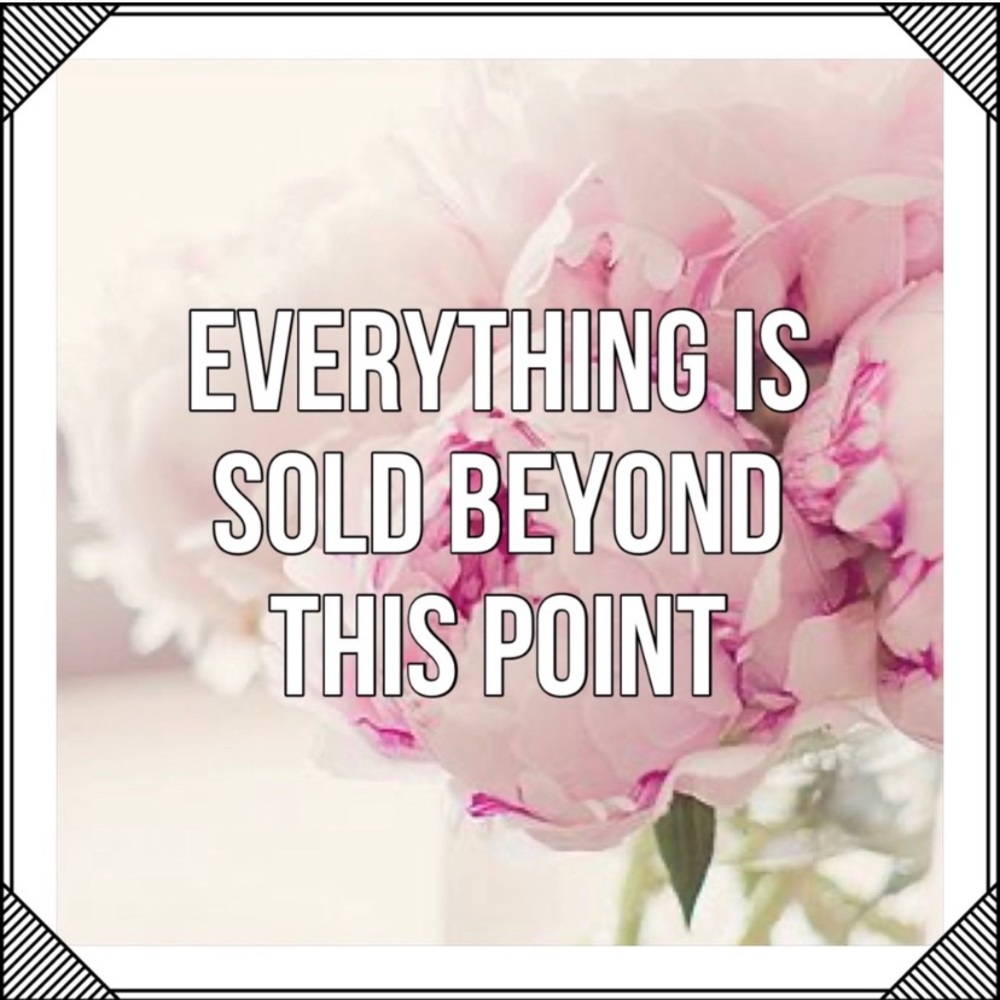 🌸 EVERYTHING IS SOLD BEYOND THIS POINT 🌸
